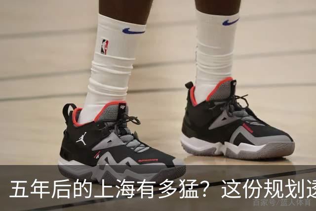 五年后的上海有多猛？这份规划透露了所有秘密